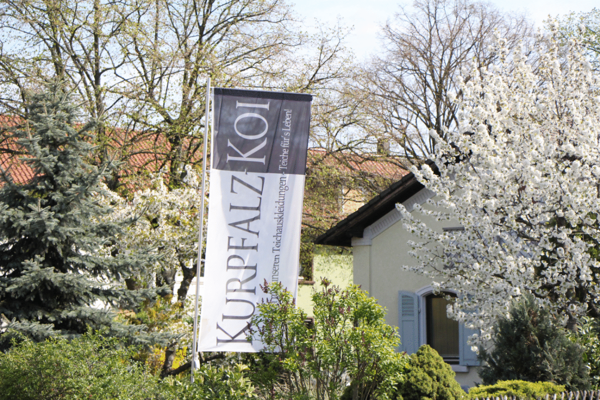 Flagge zeigen